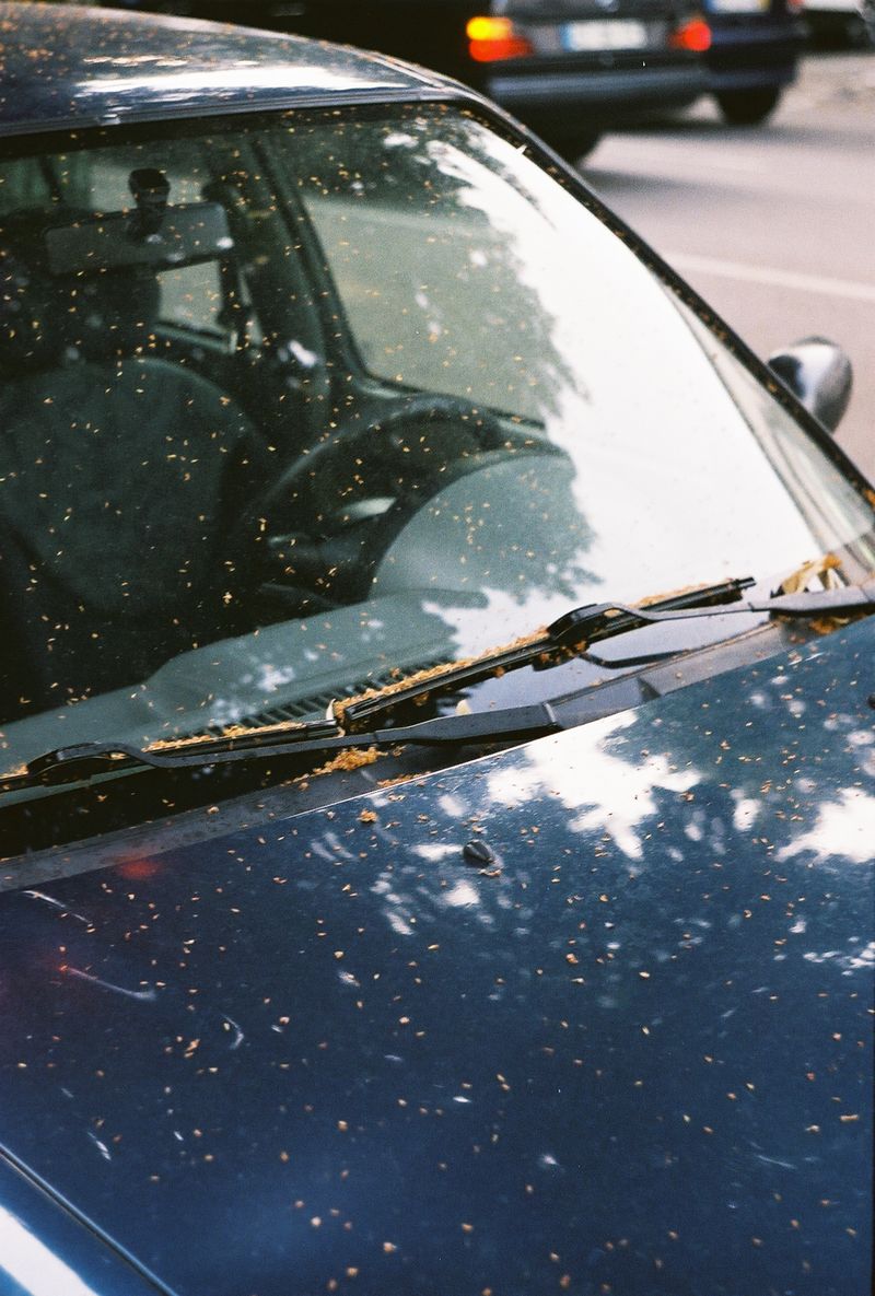 © Ana Vieira de Castro - Image from the Memories Lost in Time and Space photography project