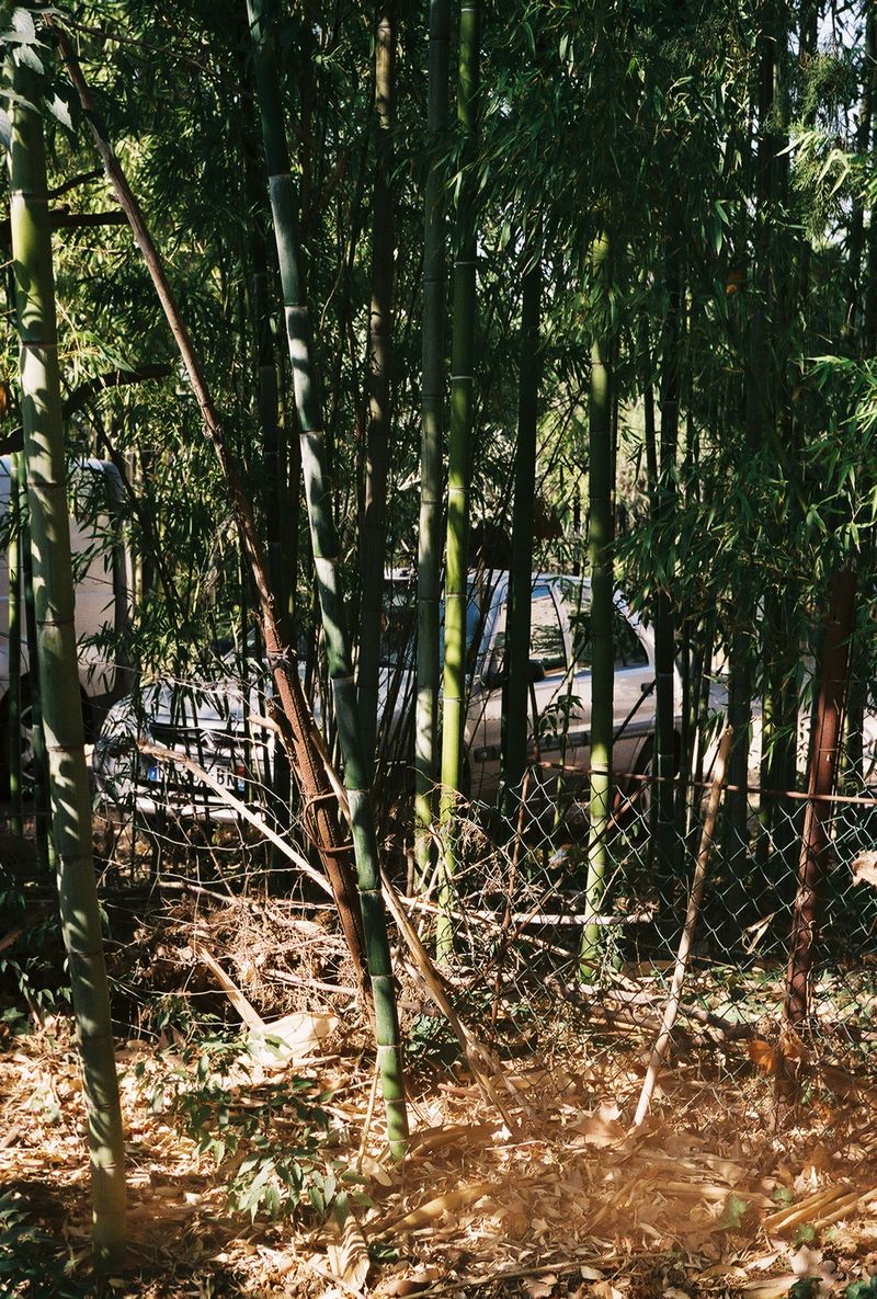 © Ana Vieira de Castro - Image from the Memories Lost in Time and Space photography project