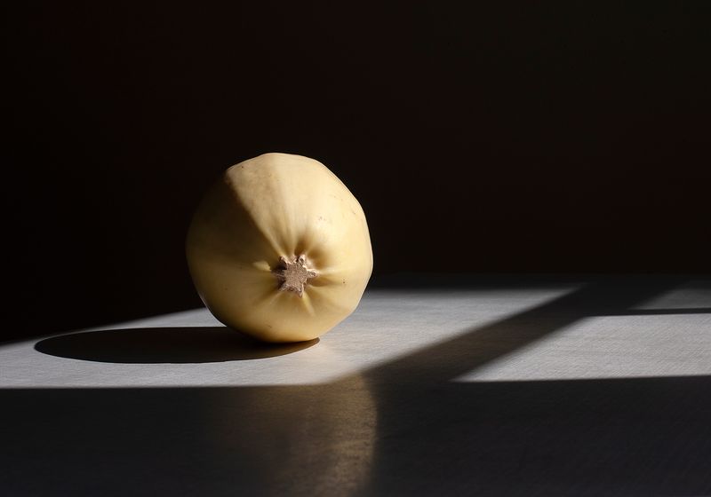 © Birthe Piontek - Image from the Janus photography project