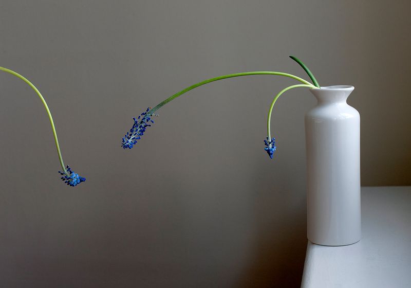 © Birthe Piontek - Image from the Janus photography project