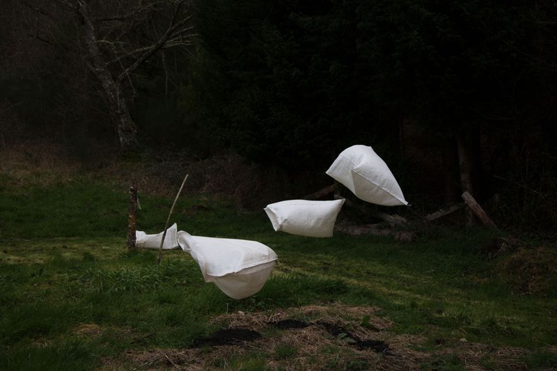 © Ana Nuñez Rodriguez - Crossing an ocean