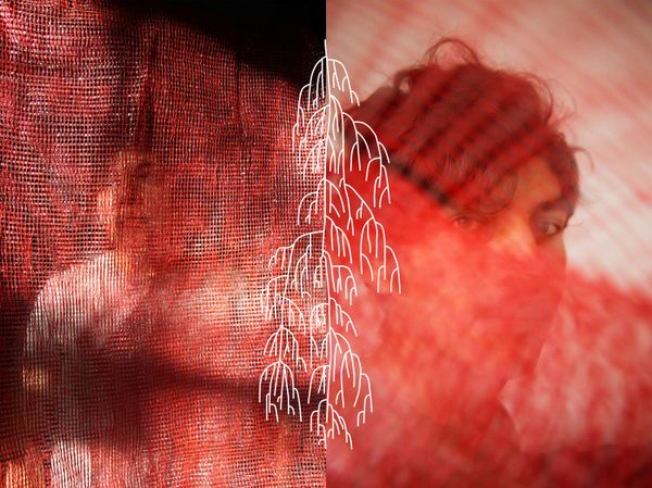 © Ana Nuñez Rodriguez - The red bags are used for the seeds