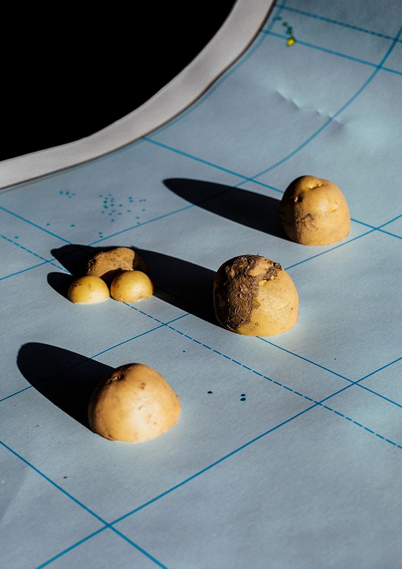 © Ana Nuñez Rodriguez - The real discovery