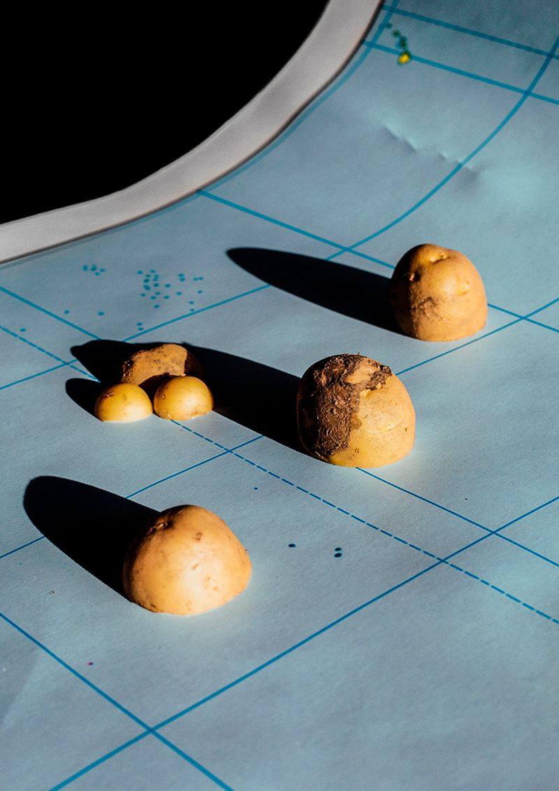 © Ana Nuñez Rodriguez - The real discovery