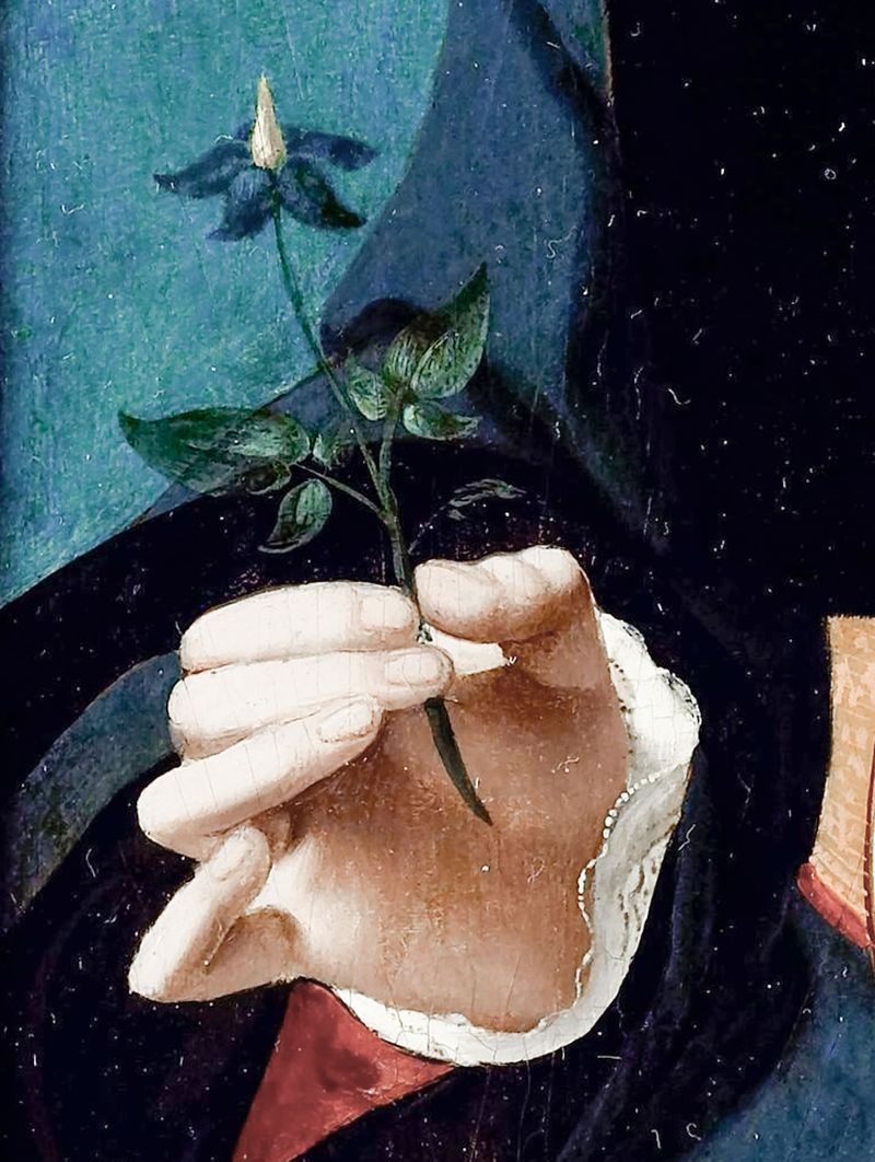 © Ana Nuñez Rodriguez - Underground Beauty