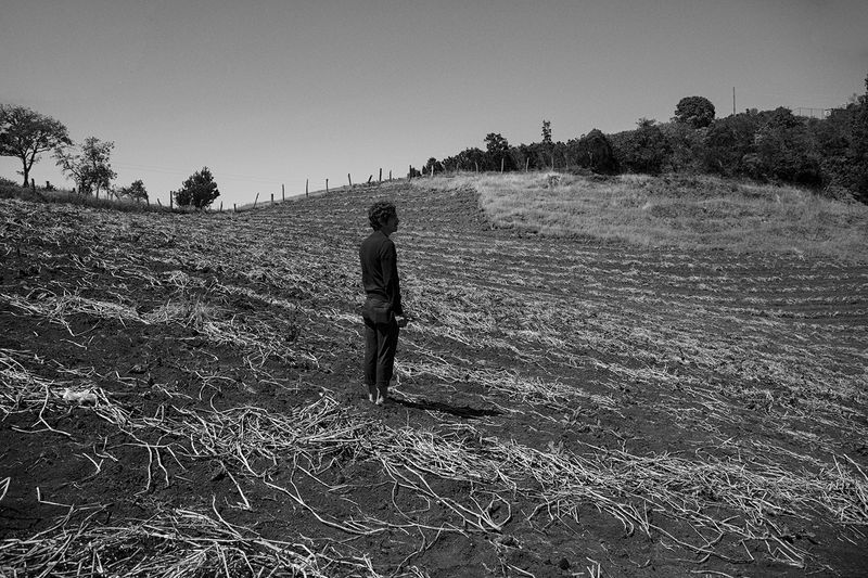 © Ana Nuñez Rodriguez - Displanting