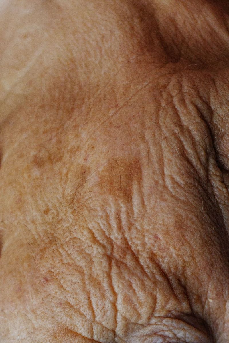 © Ana Nuñez Rodriguez - Commonalities