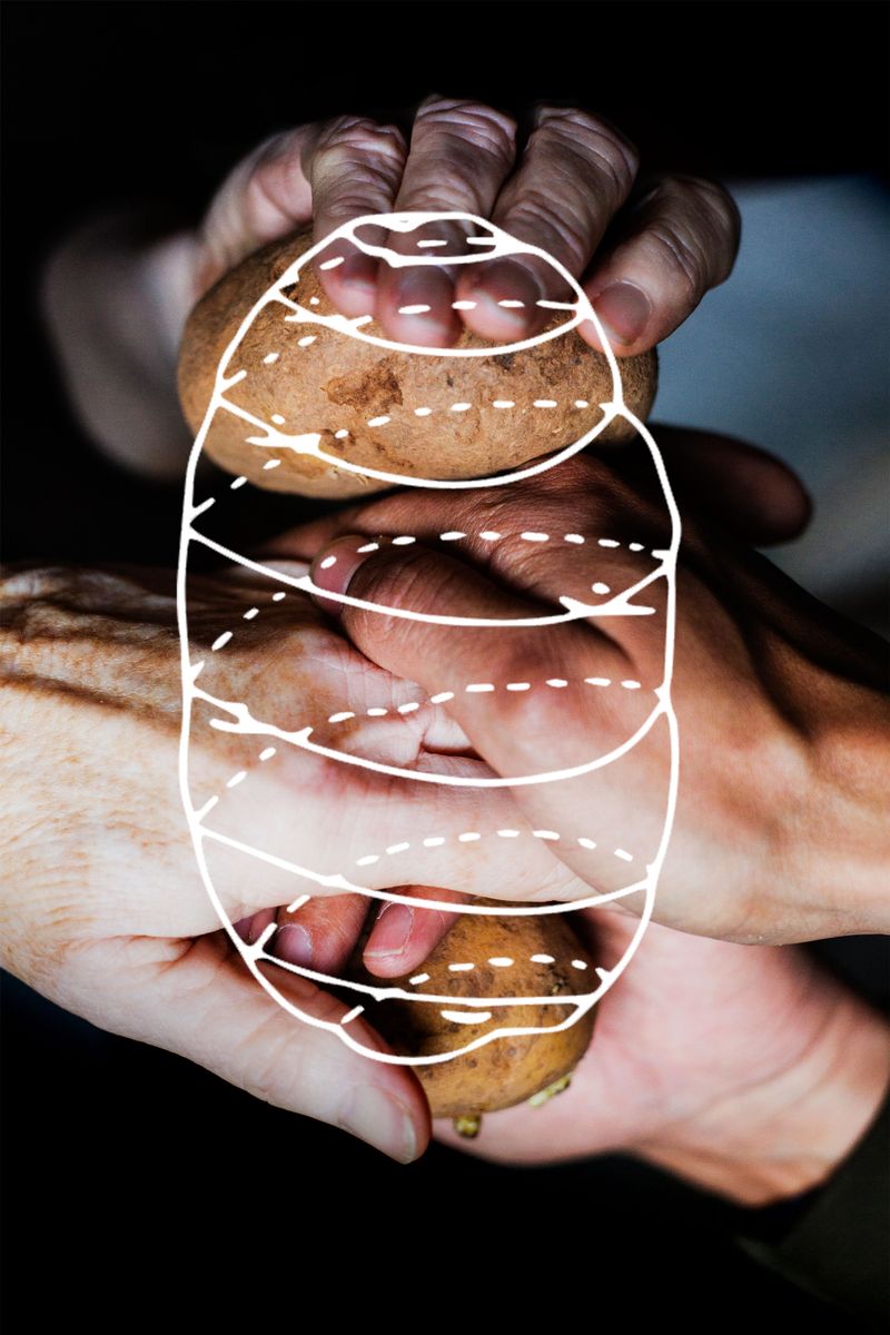 © Ana Nuñez Rodriguez - Soil Layers