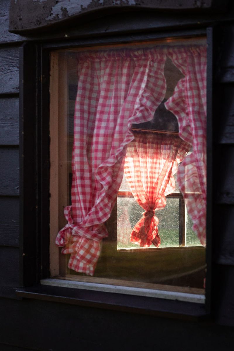 © Ana Nuñez Rodriguez - Image from the About tangerines and avocados photography project