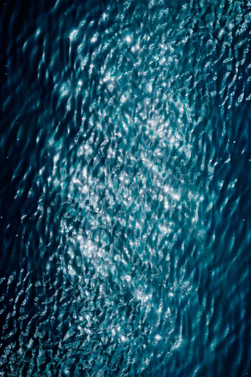 © Ana Nuñez Rodriguez - Image from the About tangerines and avocados photography project