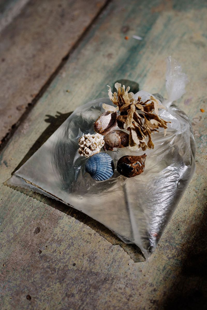 © Ana Nuñez Rodriguez - Image from the About tangerines and avocados photography project