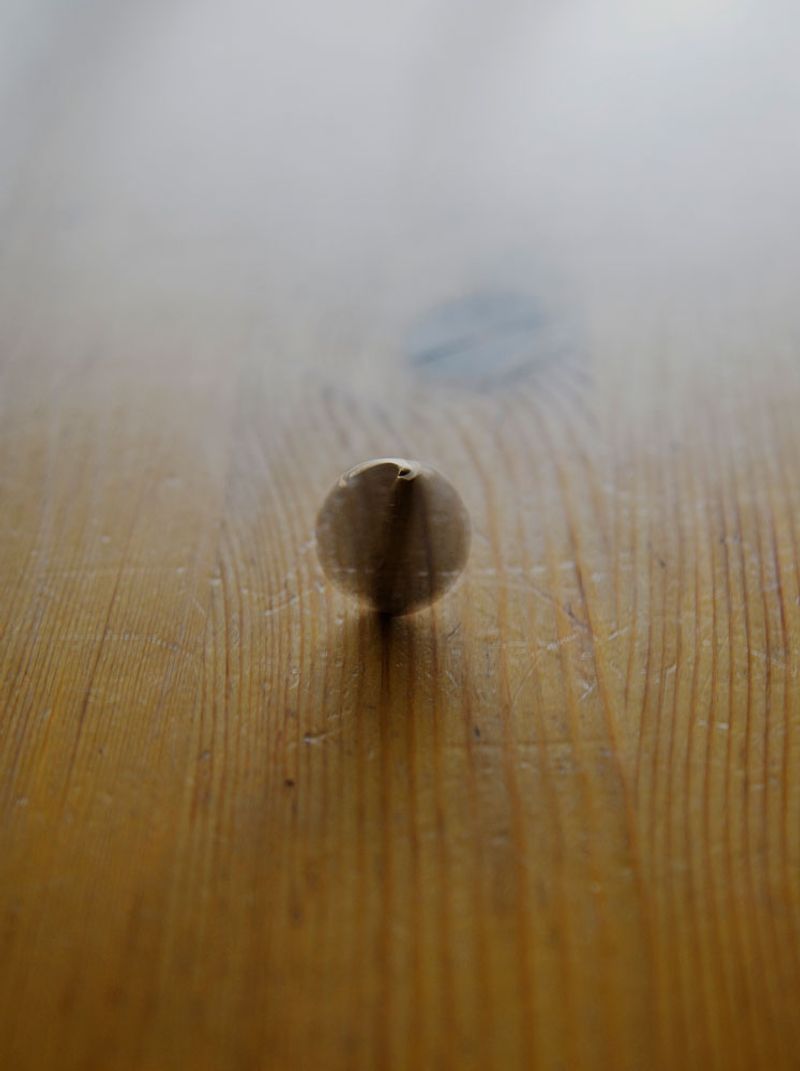 © Ana Nuñez Rodriguez - Image from the About tangerines and avocados photography project