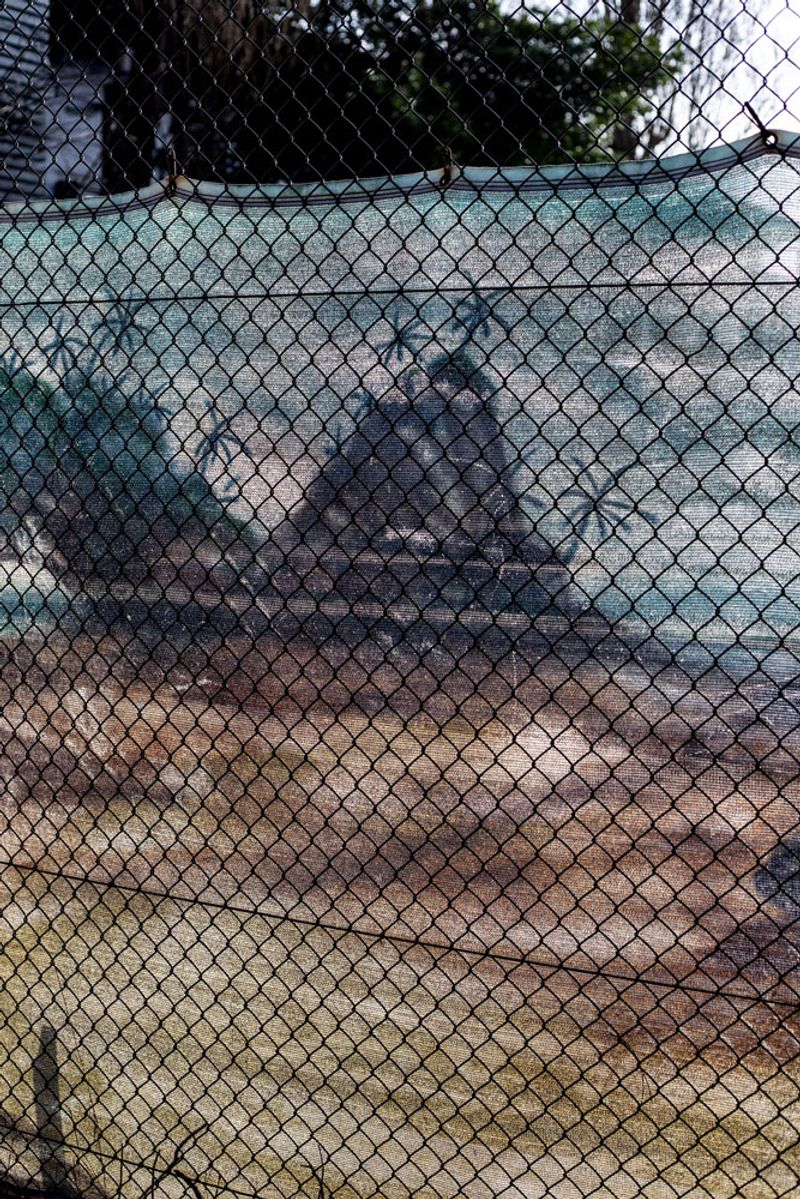 © Ana Nuñez Rodriguez - Image from the About tangerines and avocados photography project