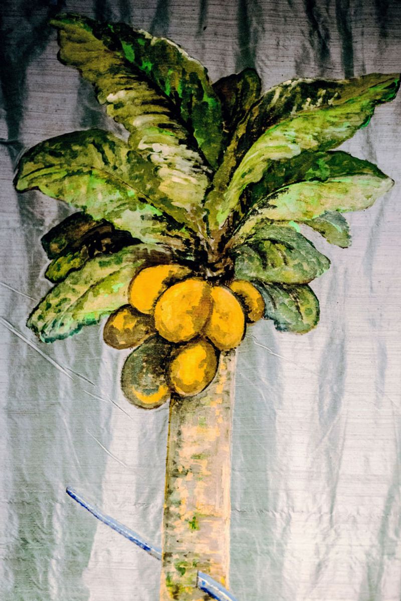 © Ana Nuñez Rodriguez - Image from the About tangerines and avocados photography project