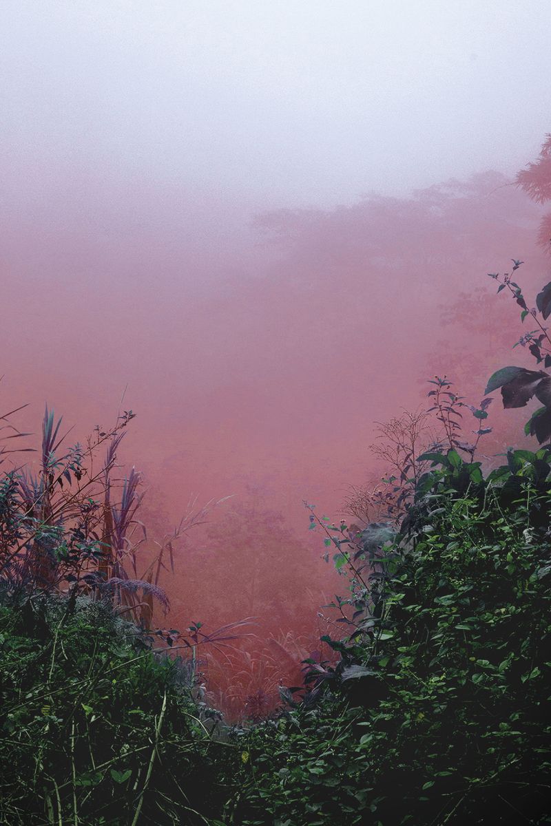 © Ana Nuñez Rodriguez - Image from the Flower Rock photography project