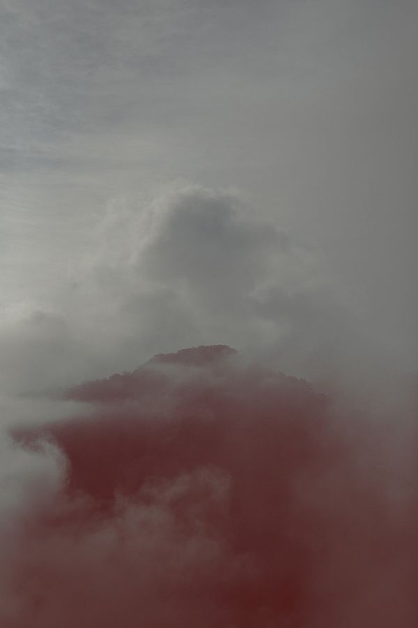 © Ana Nuñez Rodriguez - Image from the Flower Rock photography project