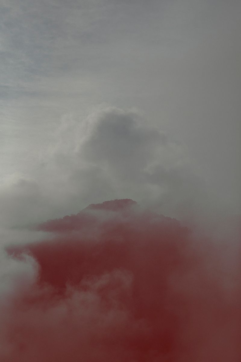 © Ana Nuñez Rodriguez - Image from the Flower Rock photography project