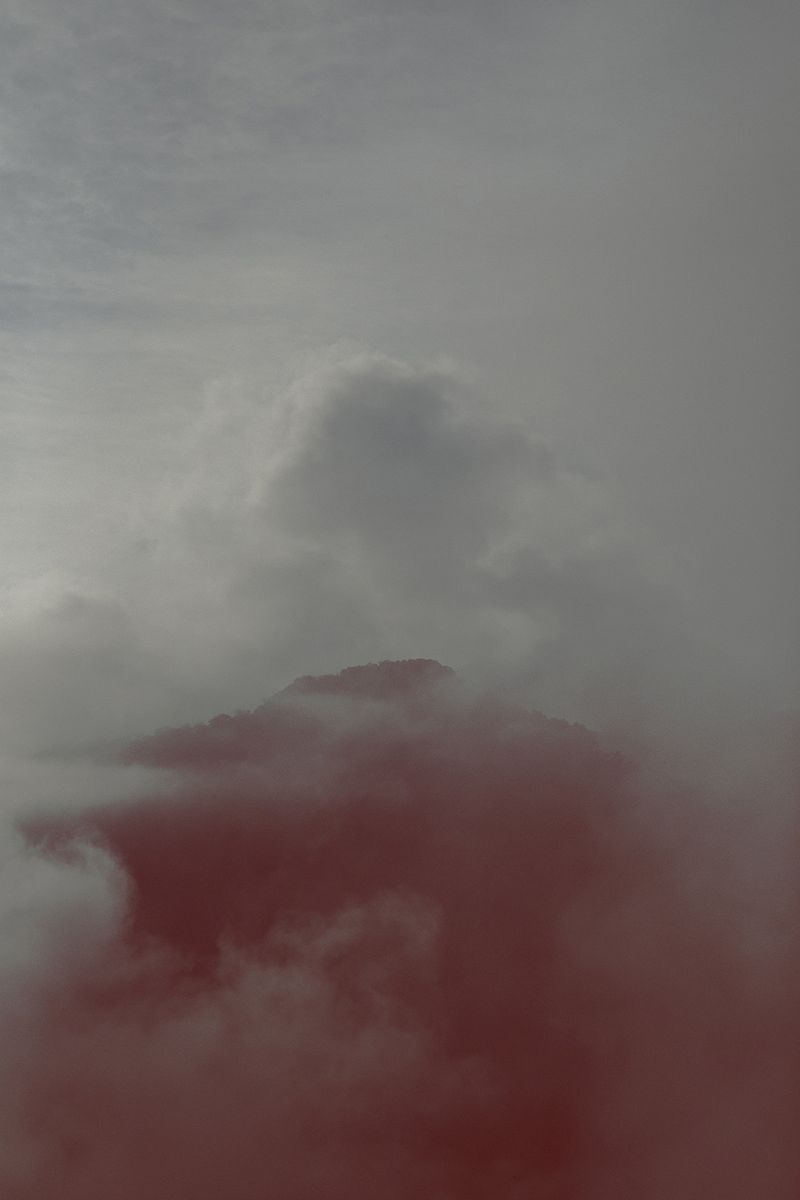 © Ana Nuñez Rodriguez - Image from the Flower Rock photography project