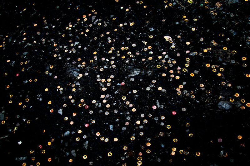 © Ana Nuñez Rodriguez - Image from the Flower Rock photography project