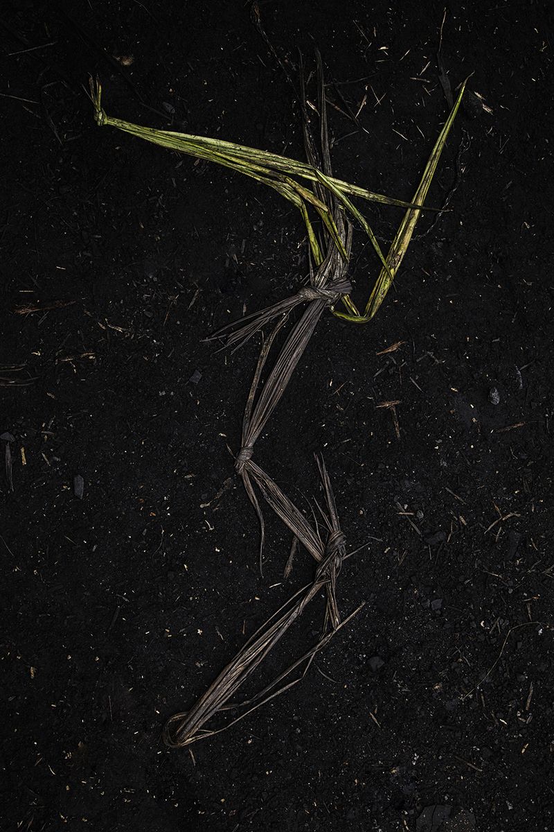 © Ana Nuñez Rodriguez - Image from the Flower Rock photography project