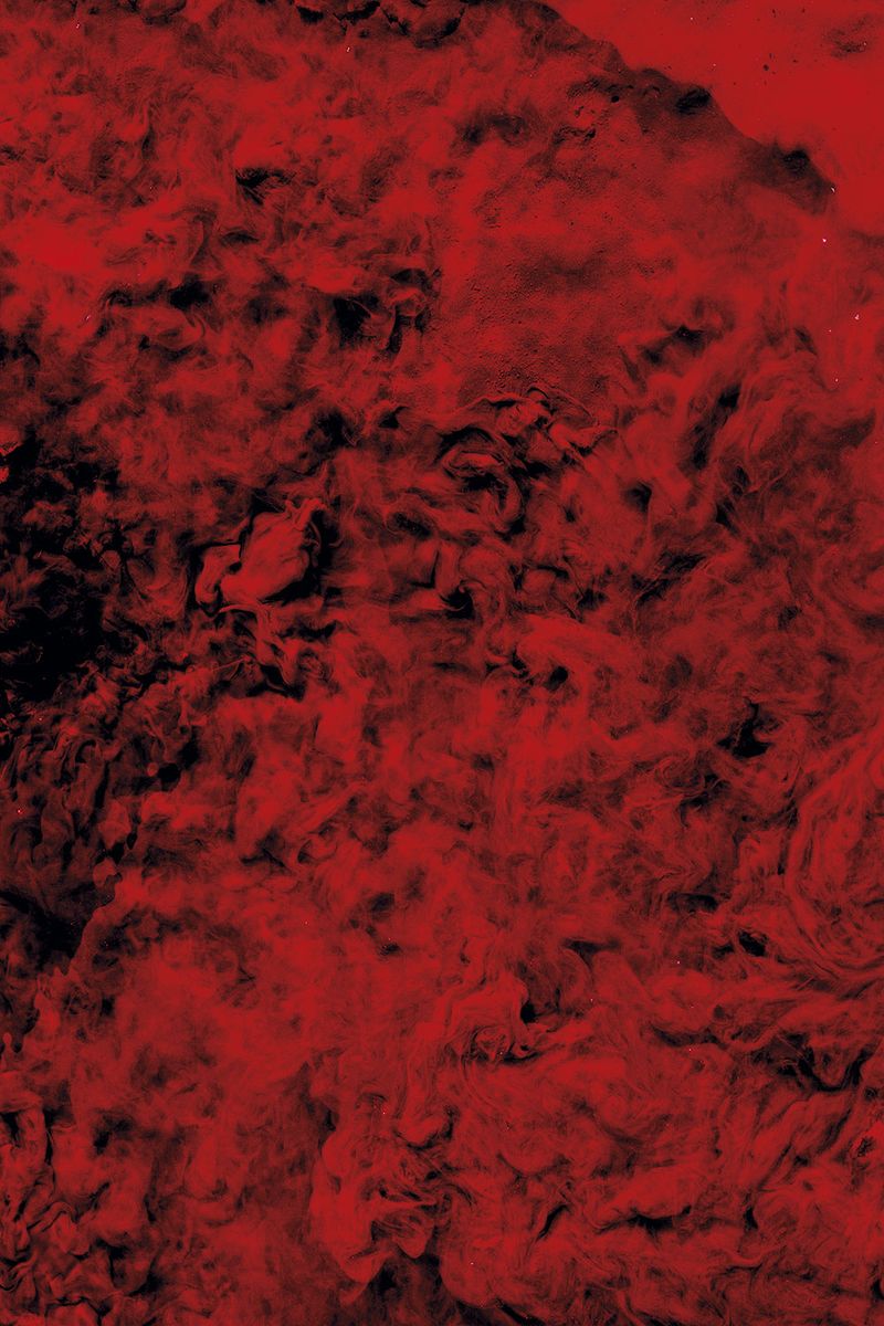 © Ana Nuñez Rodriguez - Image from the Flower Rock photography project