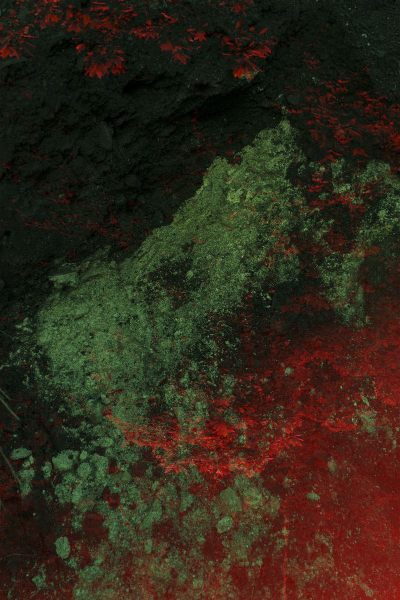 © Ana Nuñez Rodriguez - Image from the Flower Rock photography project