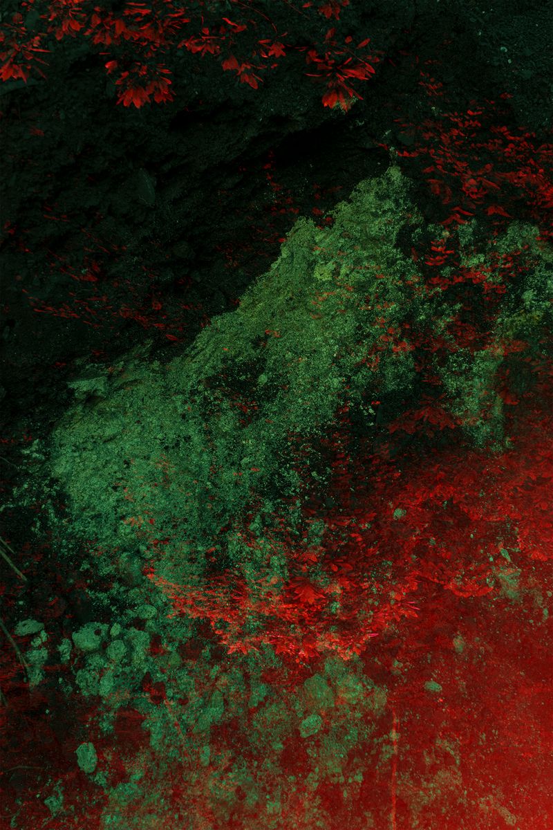 © Ana Nuñez Rodriguez - Image from the Flower Rock photography project