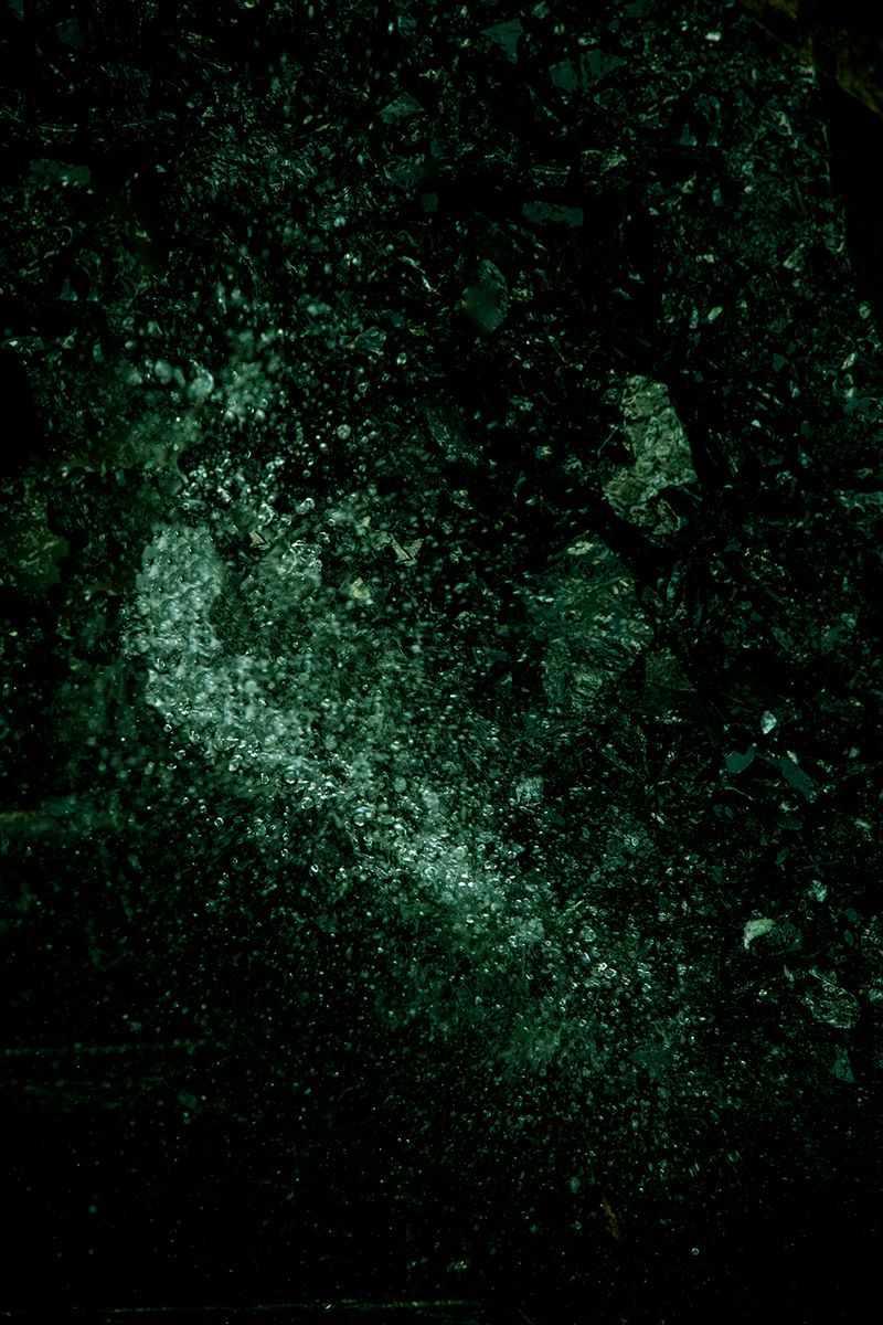 © Ana Nuñez Rodriguez - Image from the Flower Rock photography project