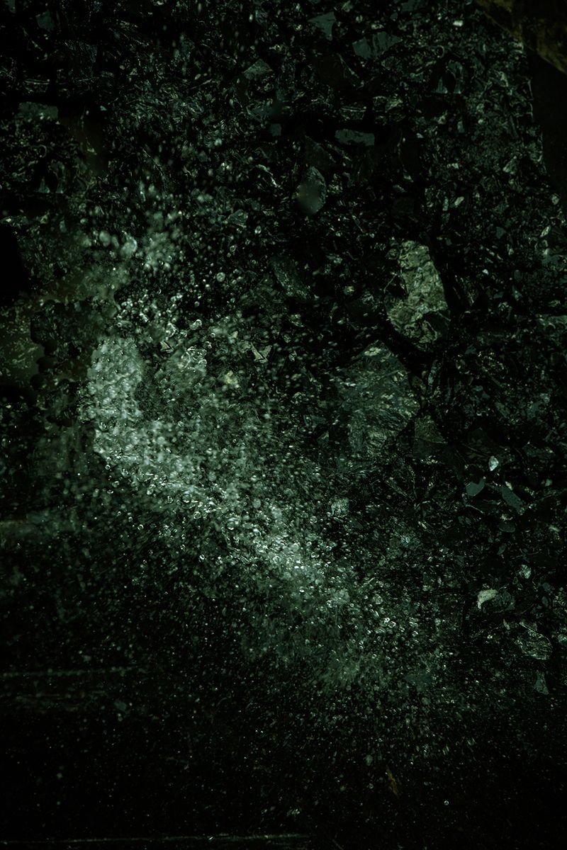 © Ana Nuñez Rodriguez - Image from the Flower Rock photography project