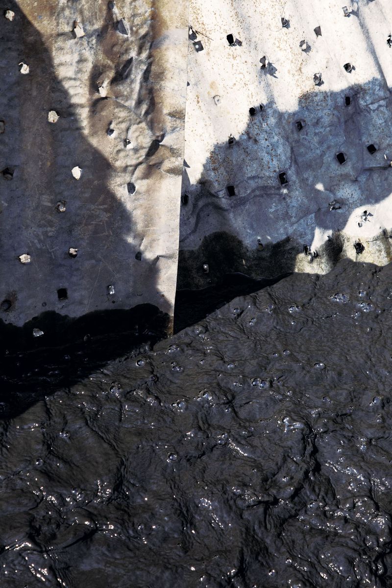 © Ana Nuñez Rodriguez - Image from the Flower Rock photography project