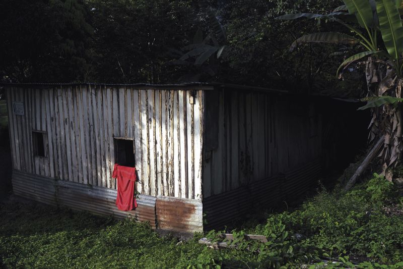 © Ana Nuñez Rodriguez - Image from the Flower Rock photography project