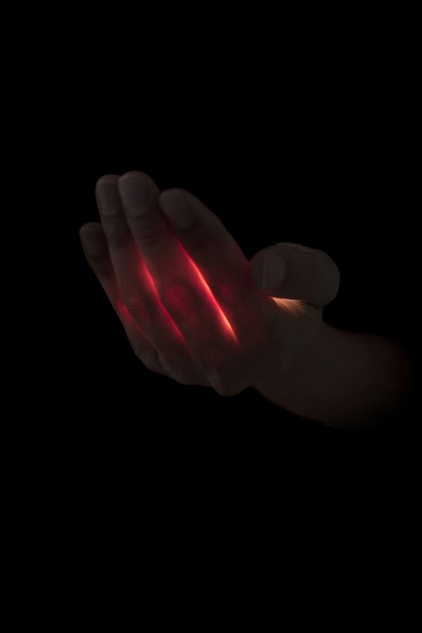 © Ana Nuñez Rodriguez - Image from the Flower Rock photography project