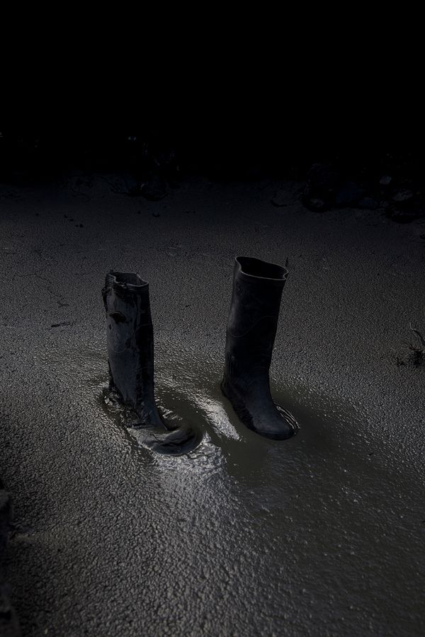 © Ana Nuñez Rodriguez - Image from the Flower Rock photography project