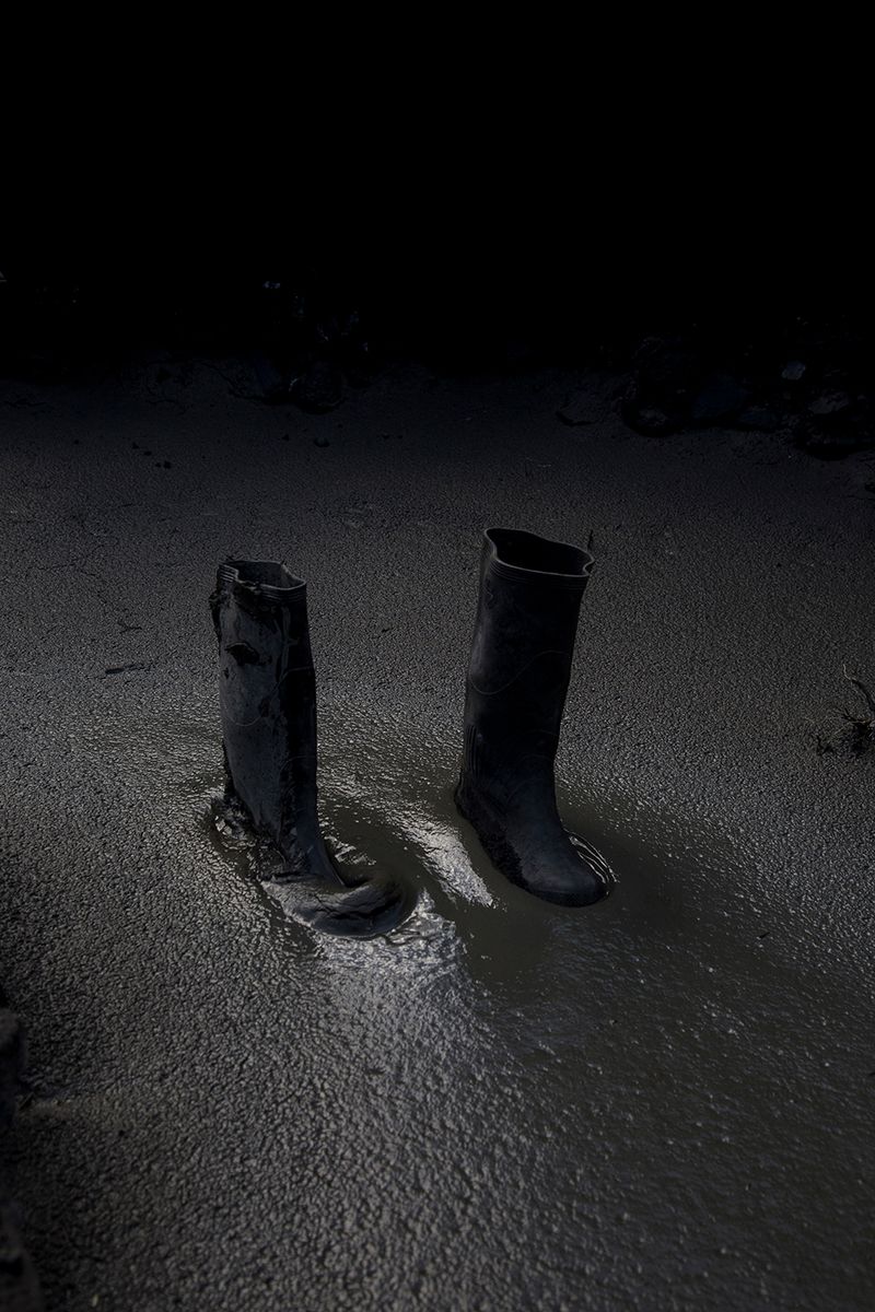 © Ana Nuñez Rodriguez - Image from the Flower Rock photography project