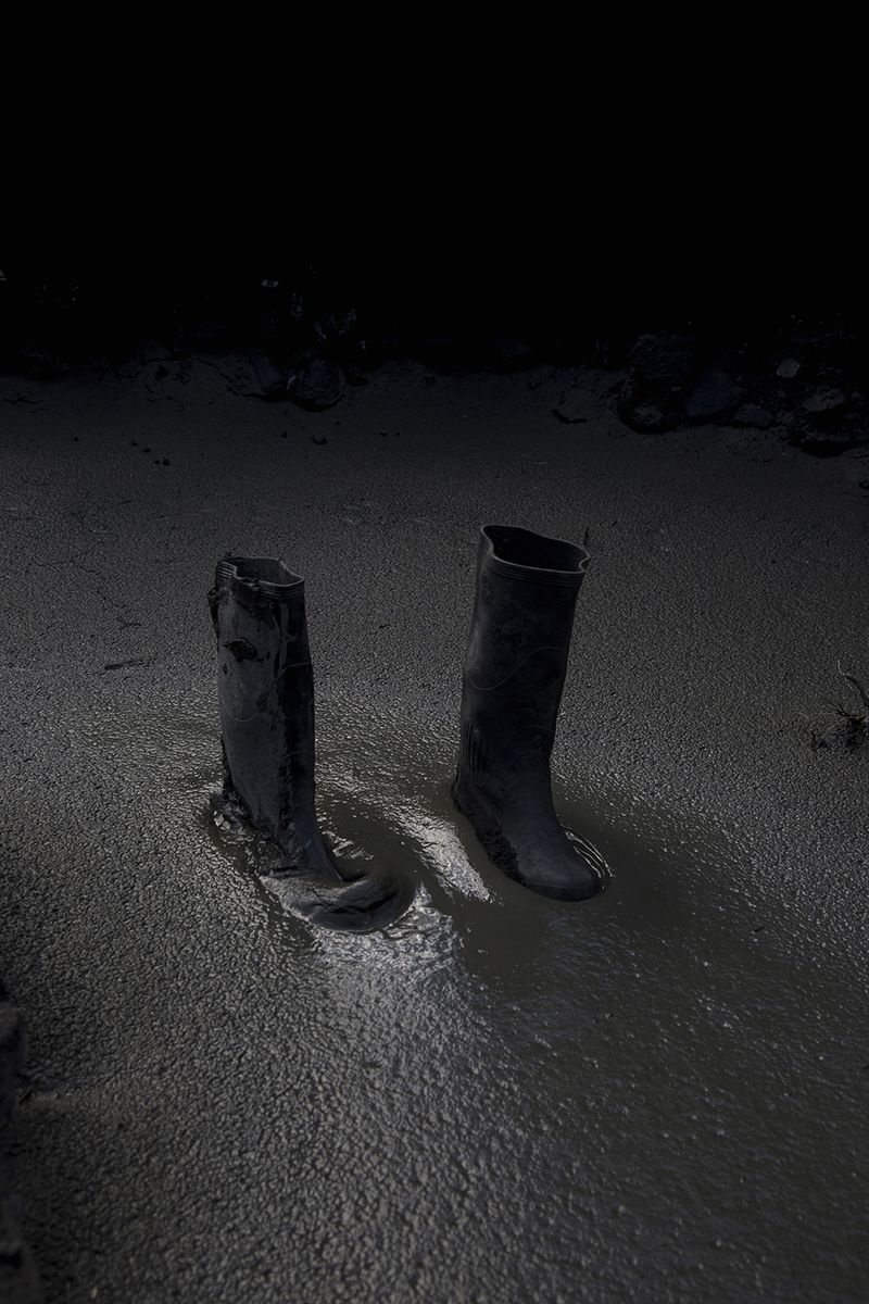 © Ana Nuñez Rodriguez - Image from the Flower Rock photography project