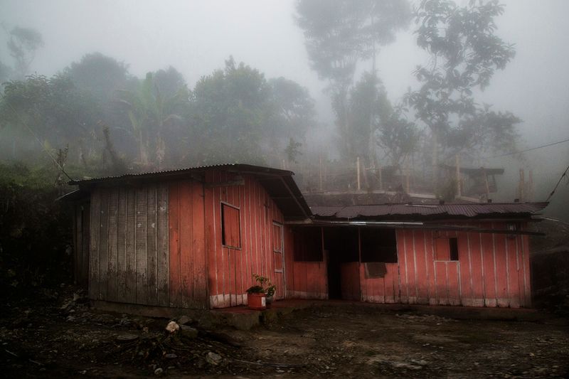 © Ana Nuñez Rodriguez - Image from the Flower Rock photography project