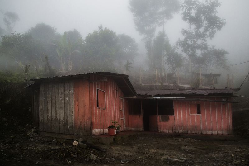 © Ana Nuñez Rodriguez - Image from the Flower Rock photography project