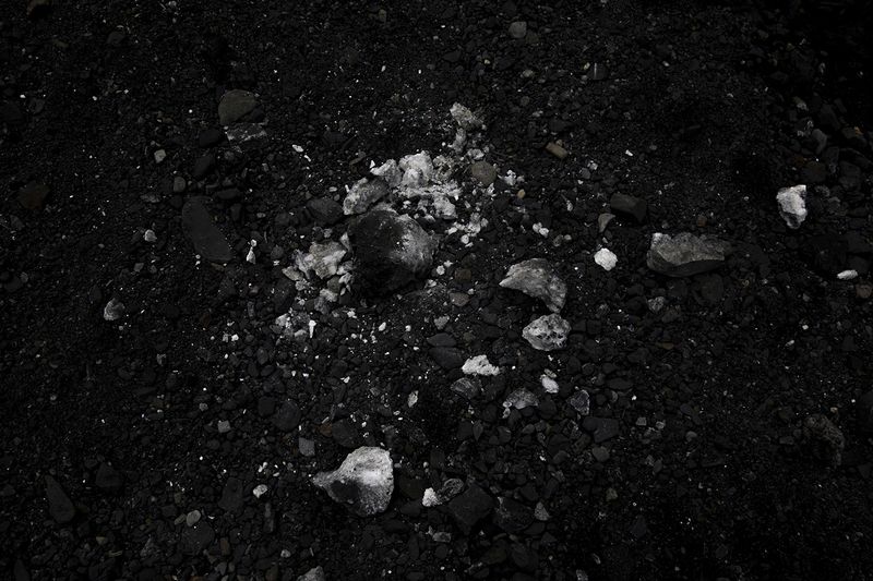 © Ana Nuñez Rodriguez - Image from the Flower Rock photography project