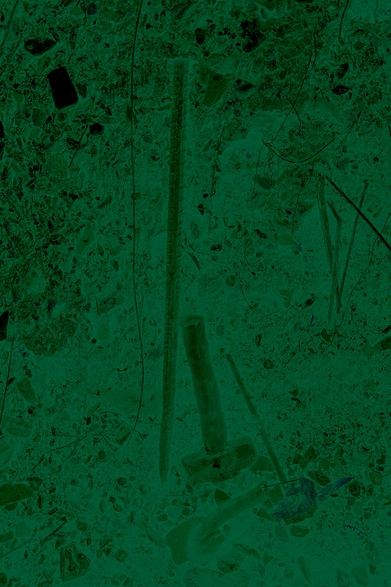 © Ana Nuñez Rodriguez - Image from the Flower Rock photography project