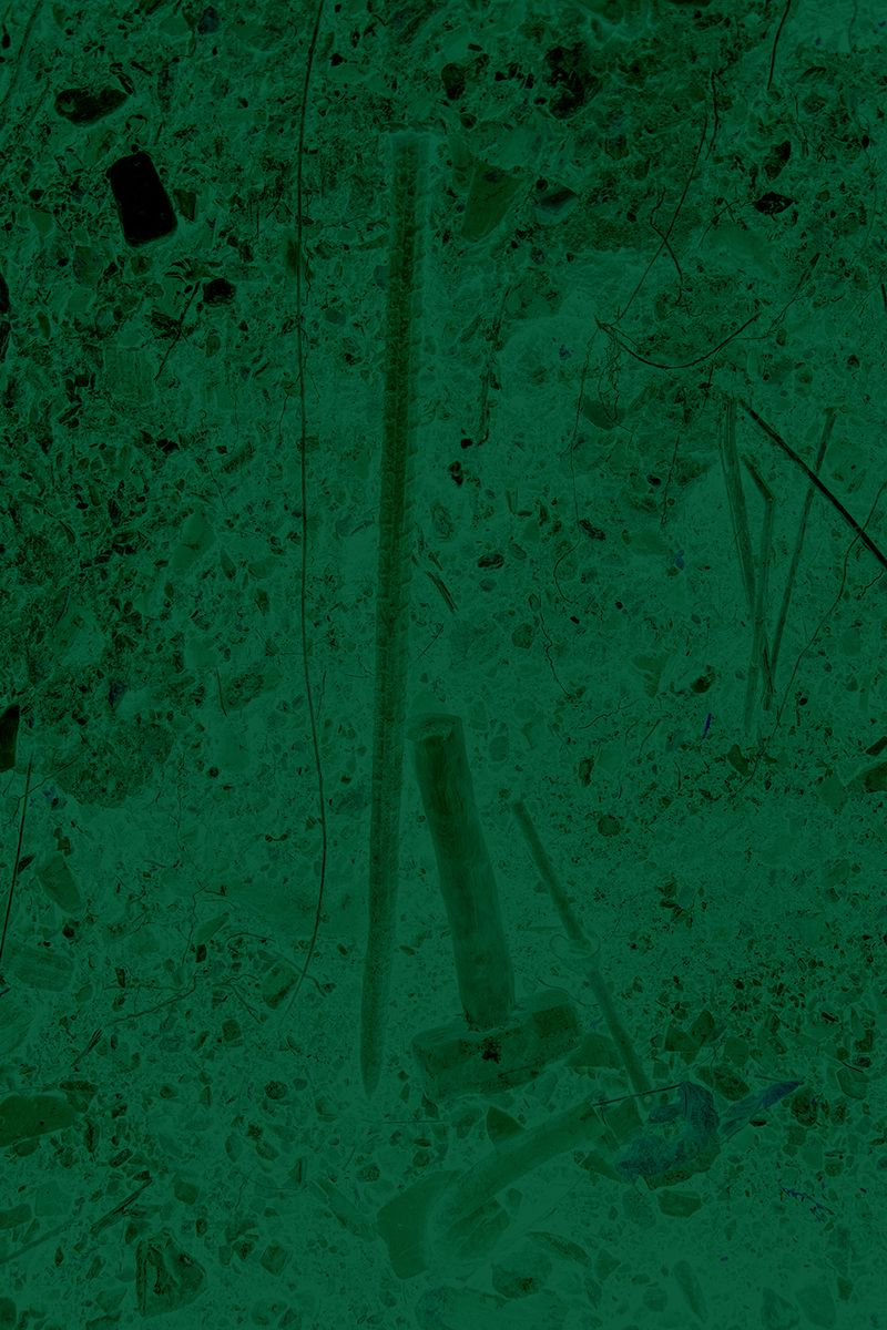 © Ana Nuñez Rodriguez - Image from the Flower Rock photography project