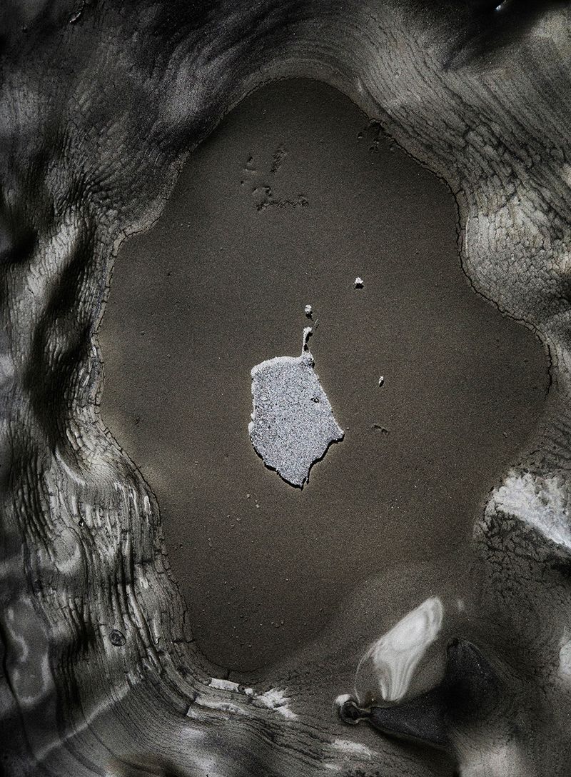 © Ana Nuñez Rodriguez - Image from the Flower Rock photography project