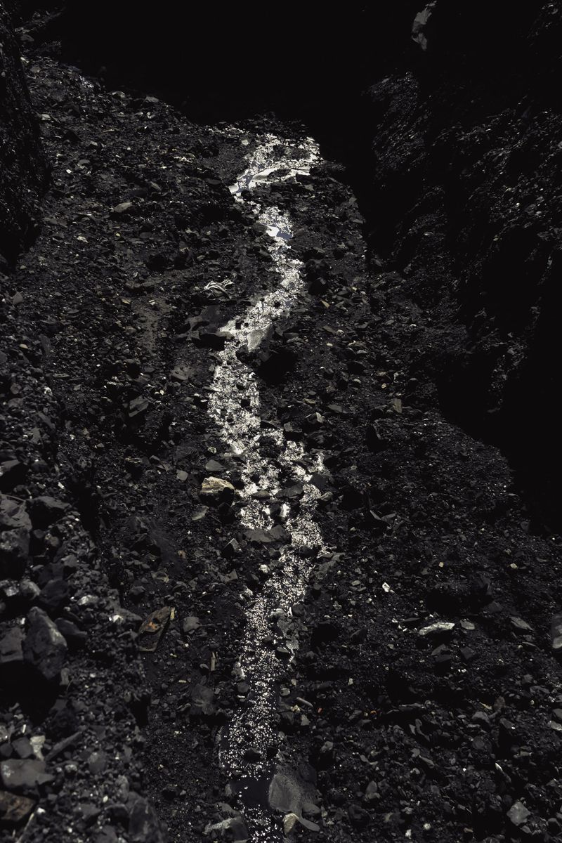 © Ana Nuñez Rodriguez - Image from the Flower Rock photography project