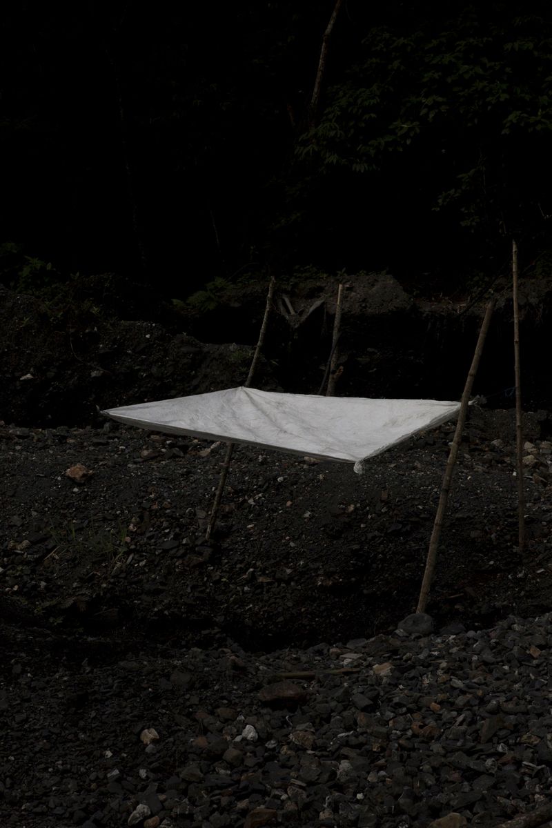 © Ana Nuñez Rodriguez - Image from the Flower Rock photography project