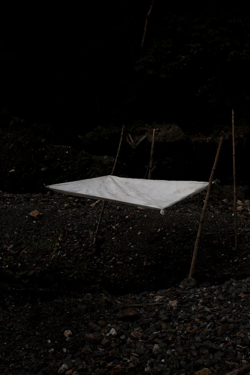 © Ana Nuñez Rodriguez - Image from the Flower Rock photography project