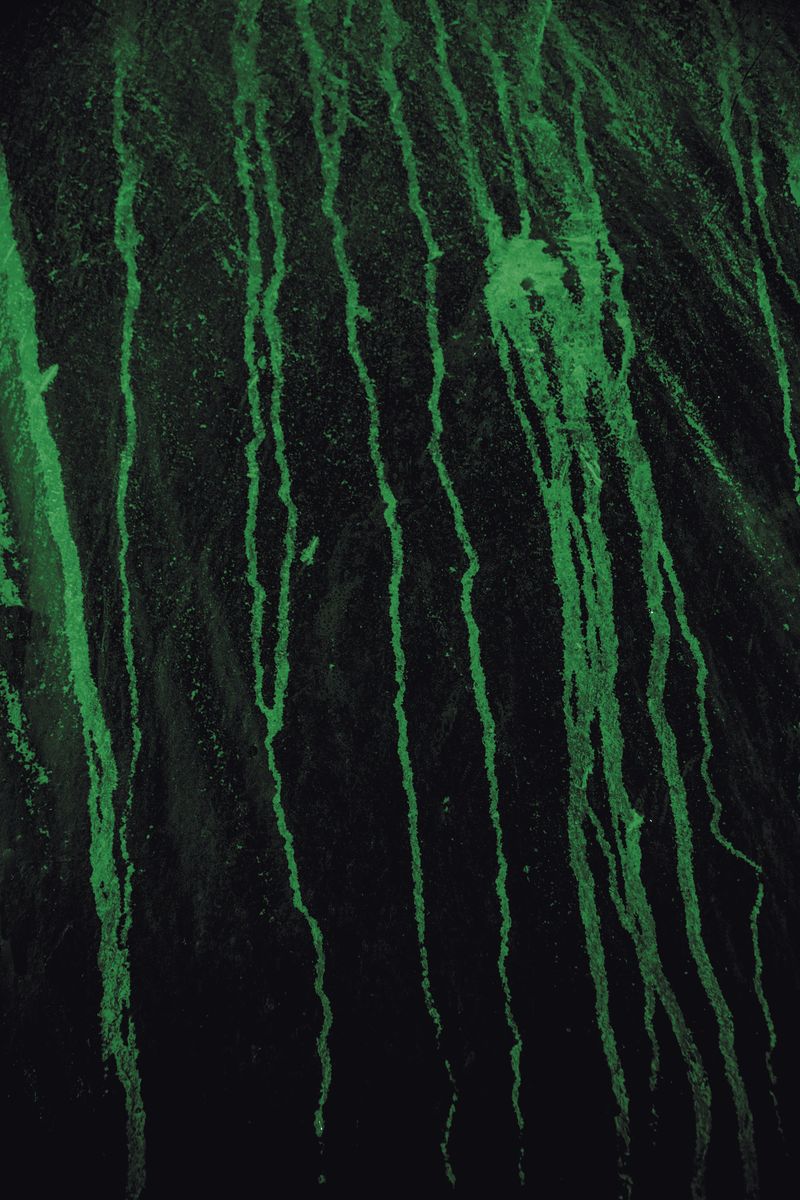 © Ana Nuñez Rodriguez - Image from the Flower Rock photography project