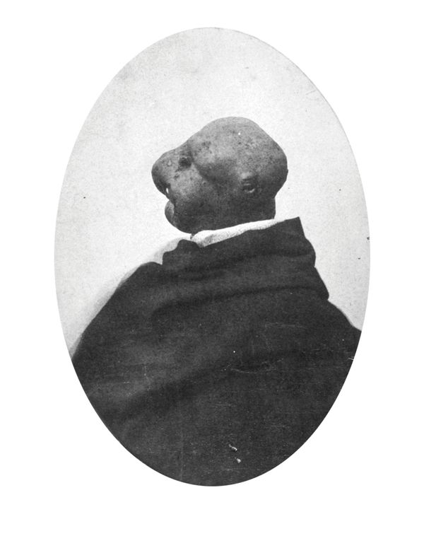 © Ana Nuñez Rodriguez - The perfect migrant