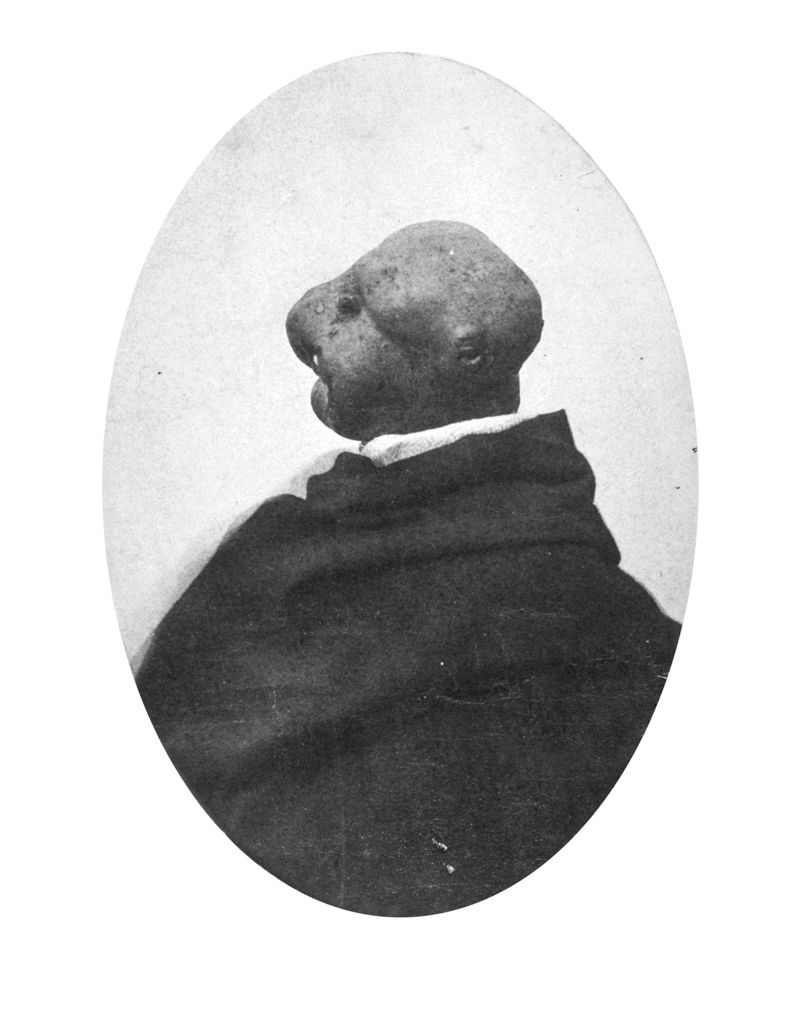 © Ana Nuñez Rodriguez - The perfect migrant