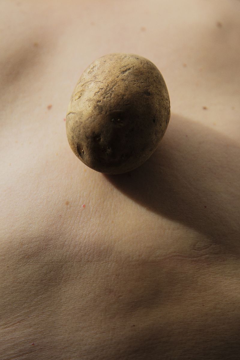 © Ana Nuñez Rodriguez - Commonalities