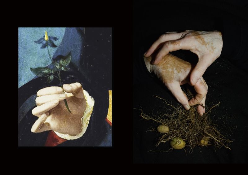 © Ana Nuñez Rodriguez - Underground Beauty