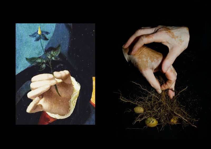 © Ana Nuñez Rodriguez - Underground Beauty